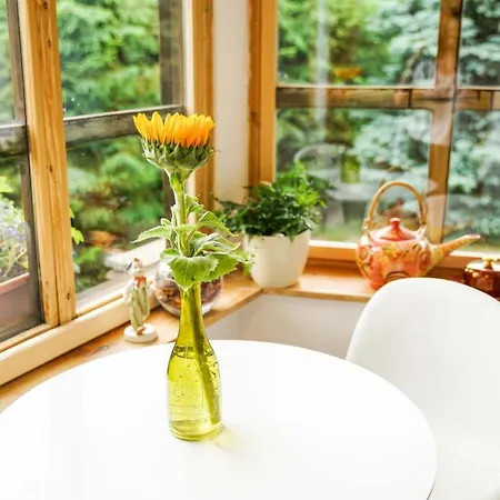 Alpehytte U Vincenta S Finskou Saunou A Altankom