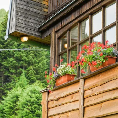 Alpehytte U Vincenta S Finskou Saunou A Altankom