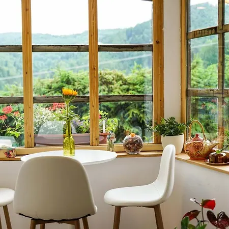 U Vincenta S Finskou Saunou A Altankom * Hnilcik