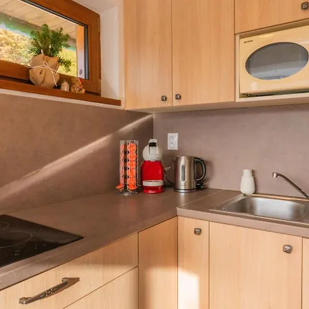 U Vincenta S Finskou Saunou A Altankom Alpehytte *