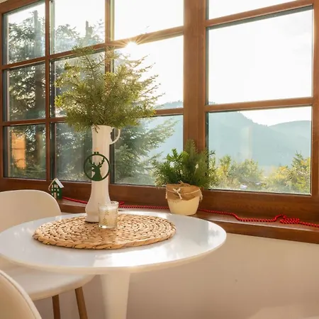 U Vincenta S Finskou Saunou A Altankom * Hnilcik