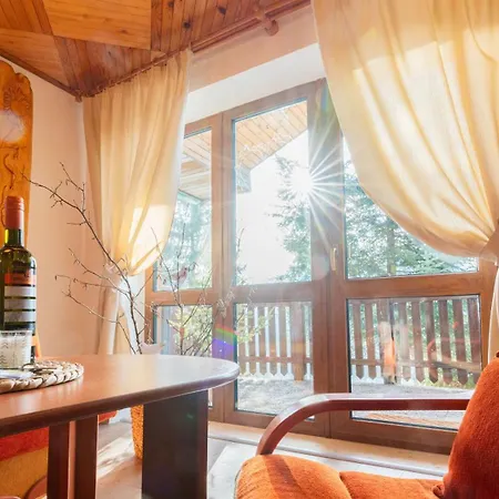 U Vincenta S Finskou Saunou A Altankom Alpehytte Hnilcik