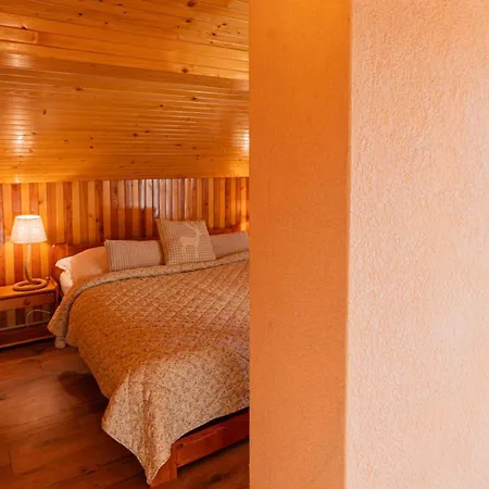 U Vincenta S Finskou Saunou A Altankom Hnilcik