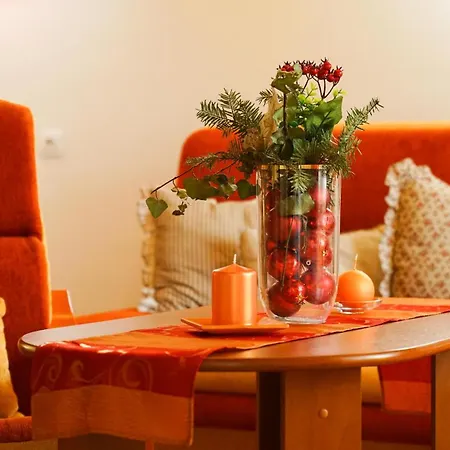 U Vincenta S Finskou Saunou A Altankom Alpehytte *